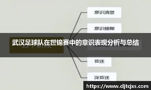武汉足球队在世锦赛中的意识表现分析与总结
